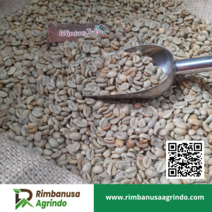 Green Bean Kopi Arabika